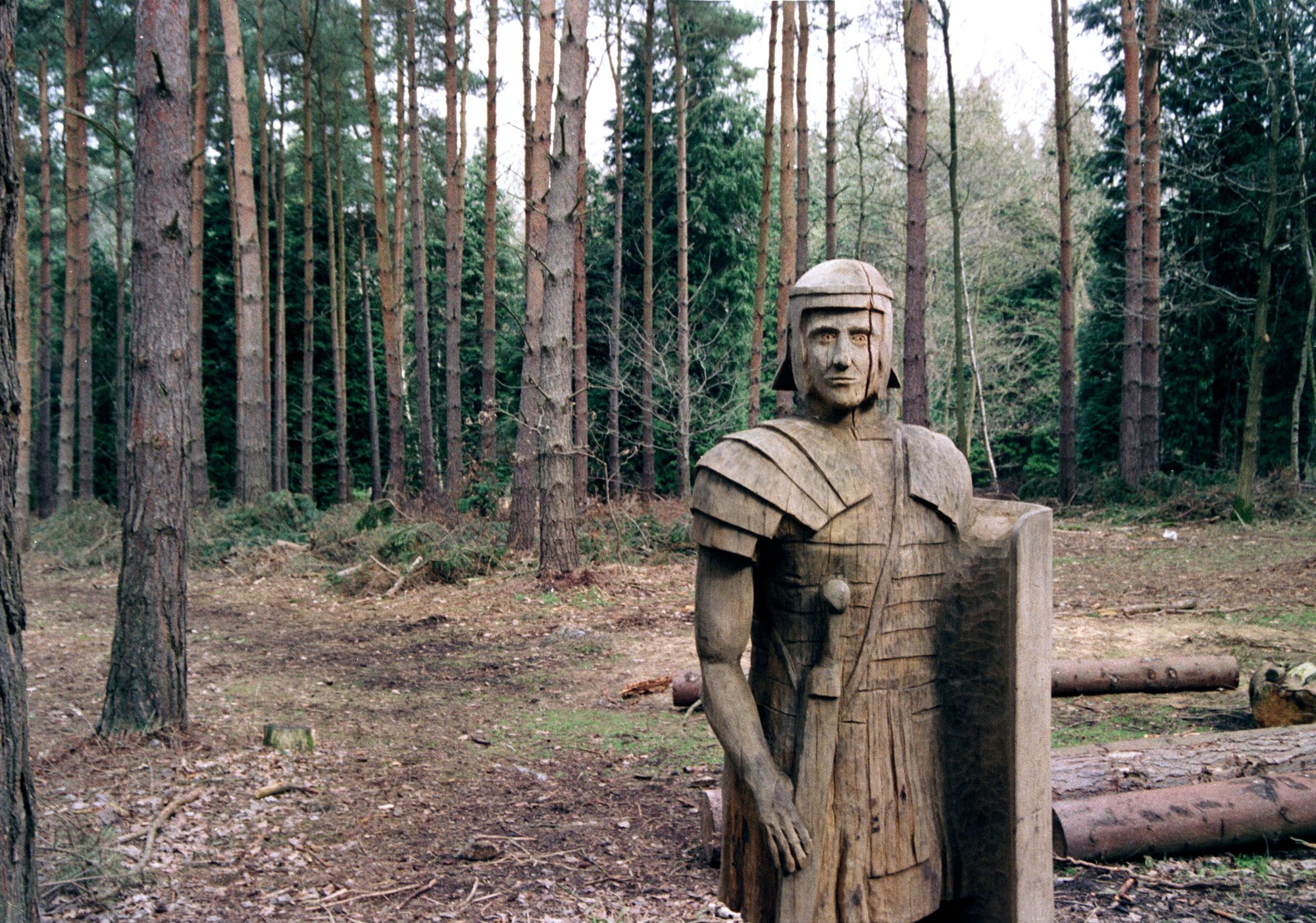 Broxbourne Wood - Centurion Carving  Spirng 2006 