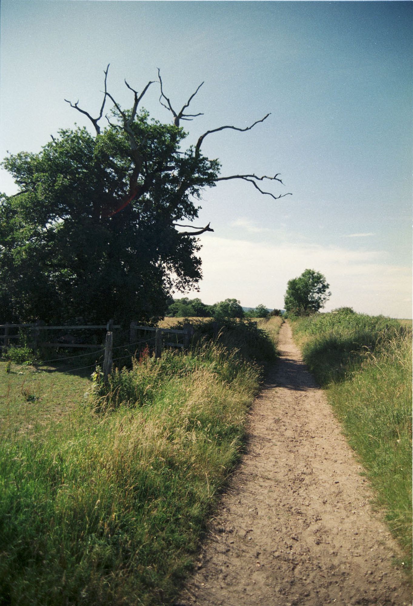 Essendon walk path