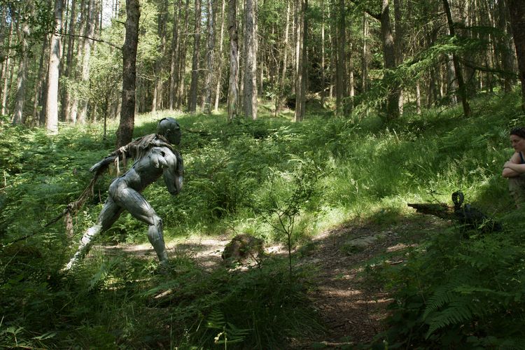 Grizedale Forest-4
