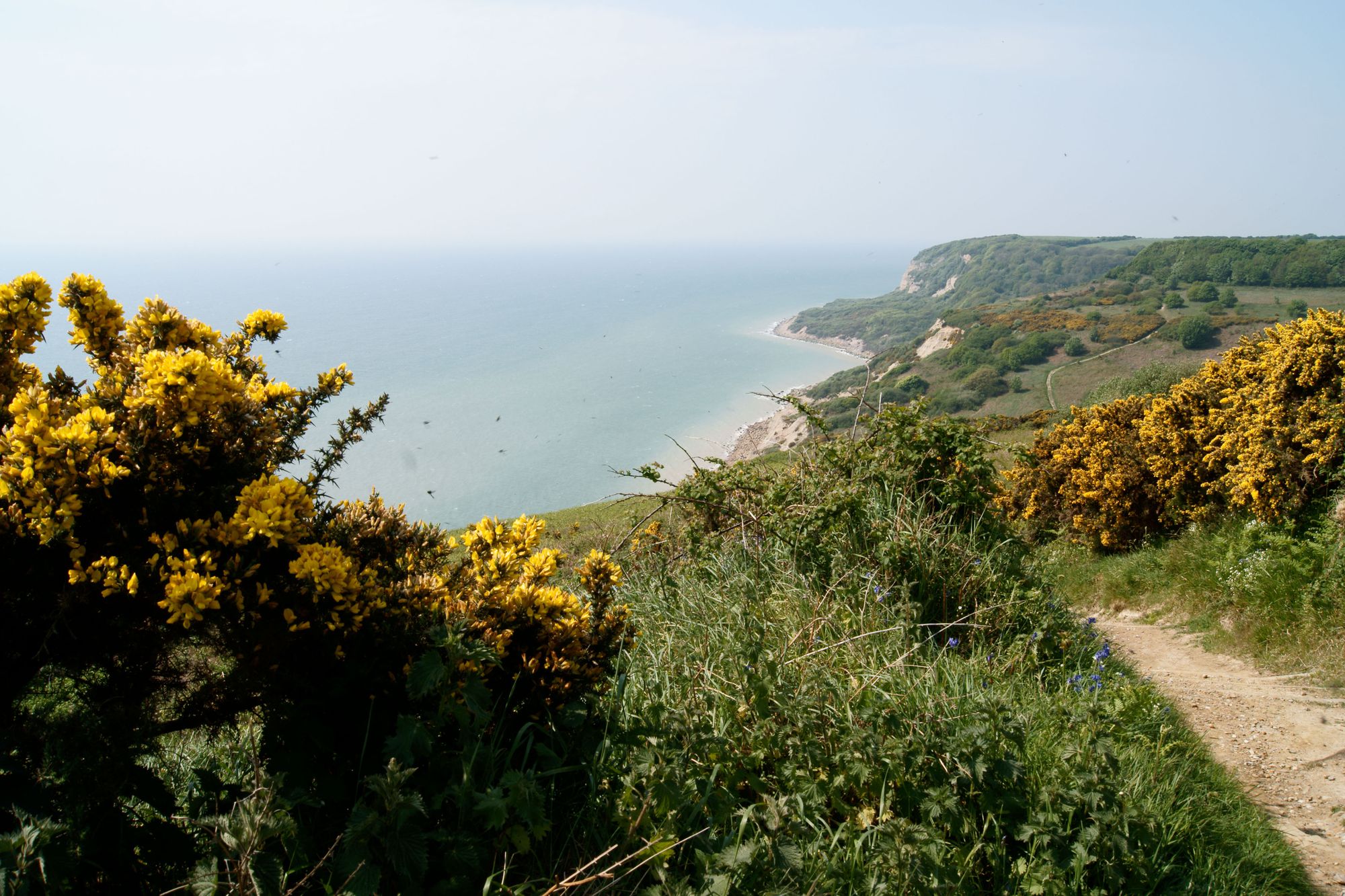 Hastings Country Park 1