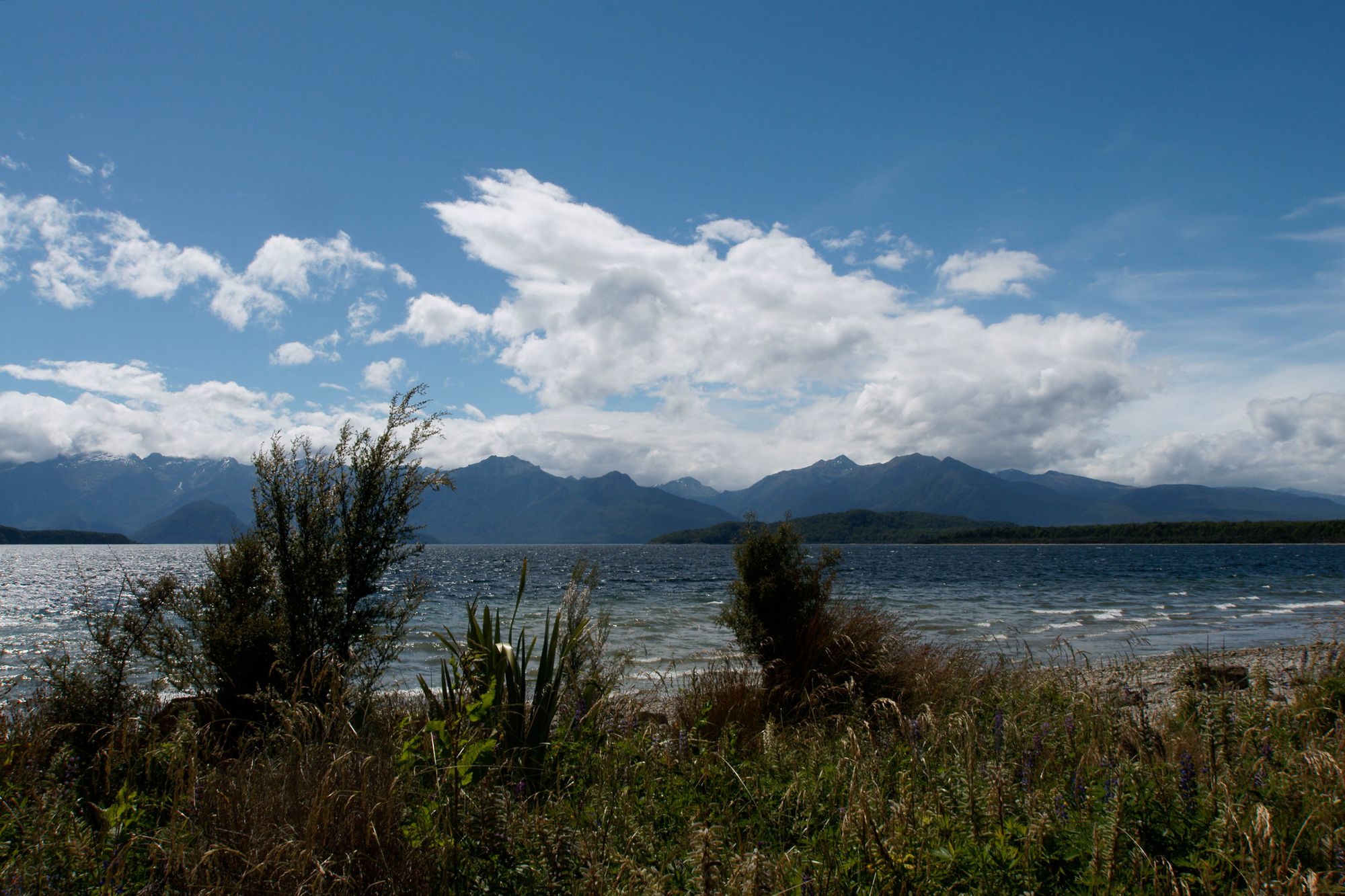Lake Manapouri 6