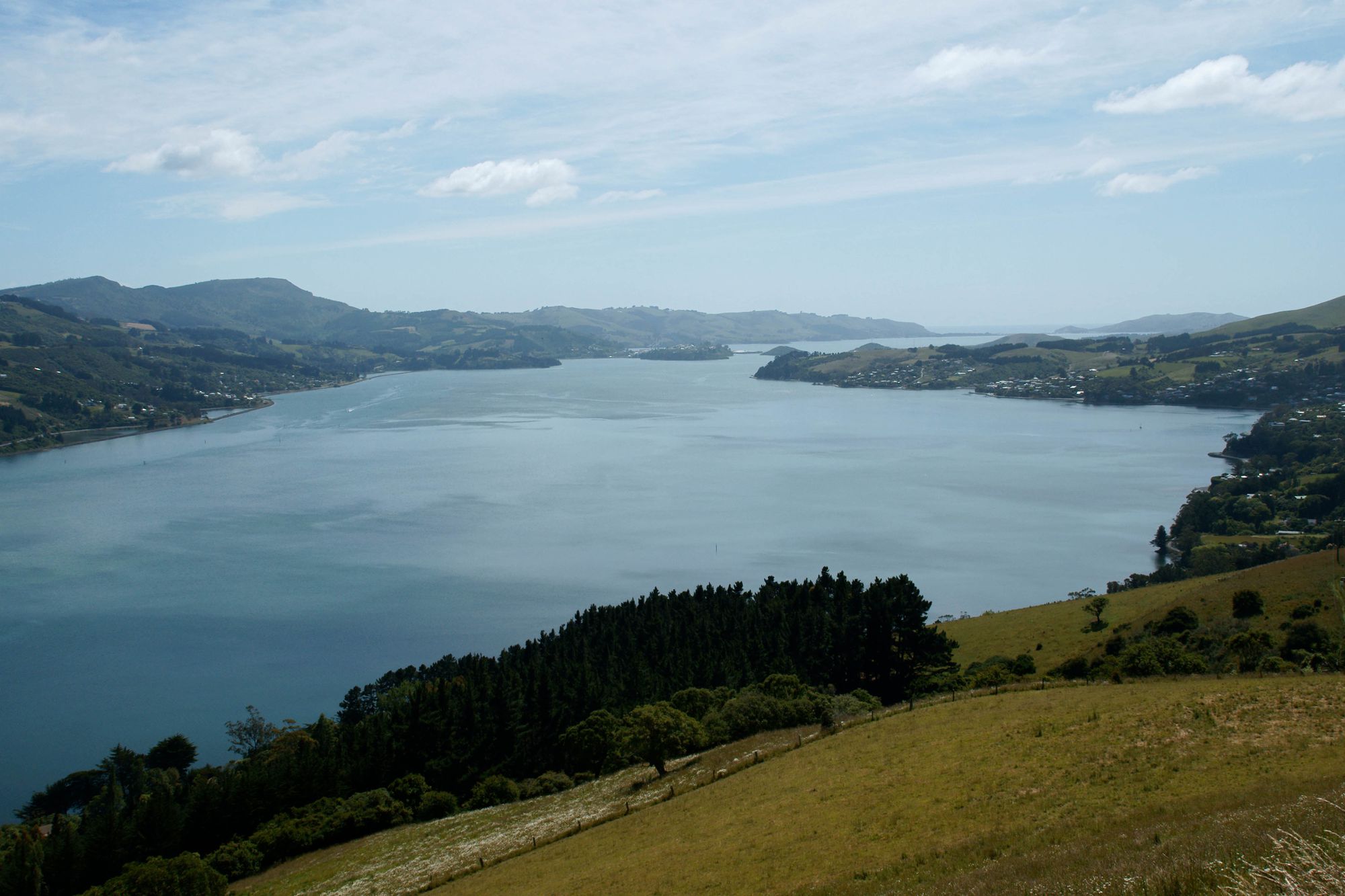 Otago Peninsular 1