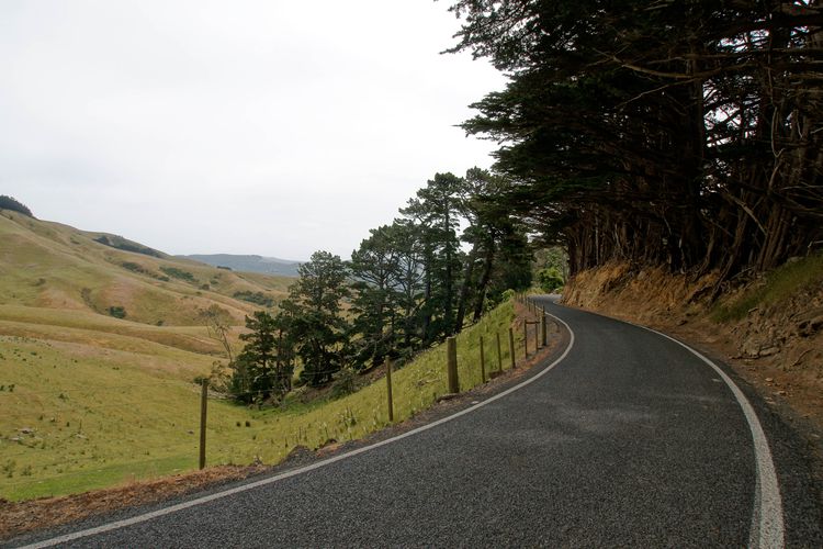 Otago Peninsular 6