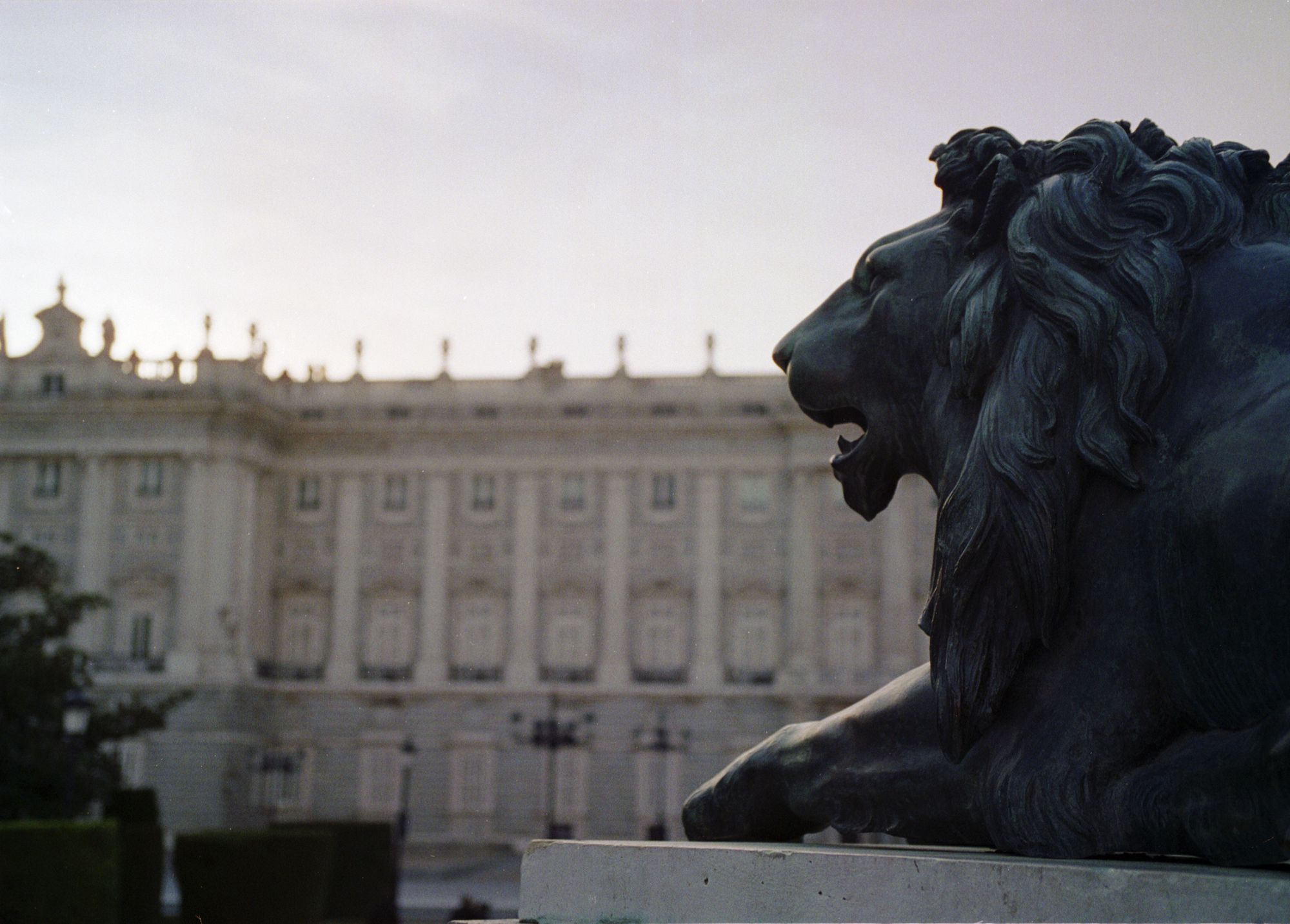 Palacio Real - Lion closeup