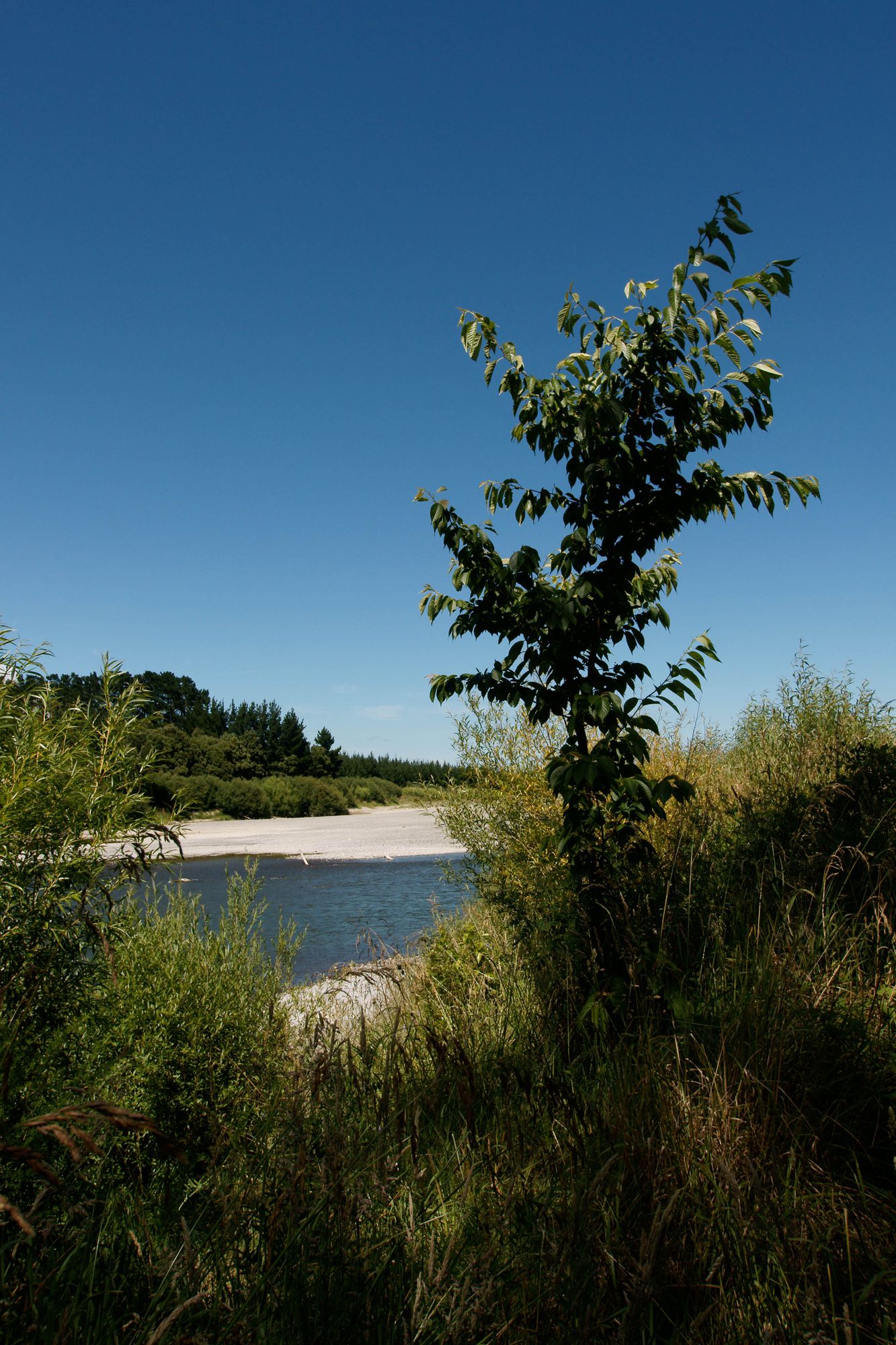 Palmerston North - Manawatu River