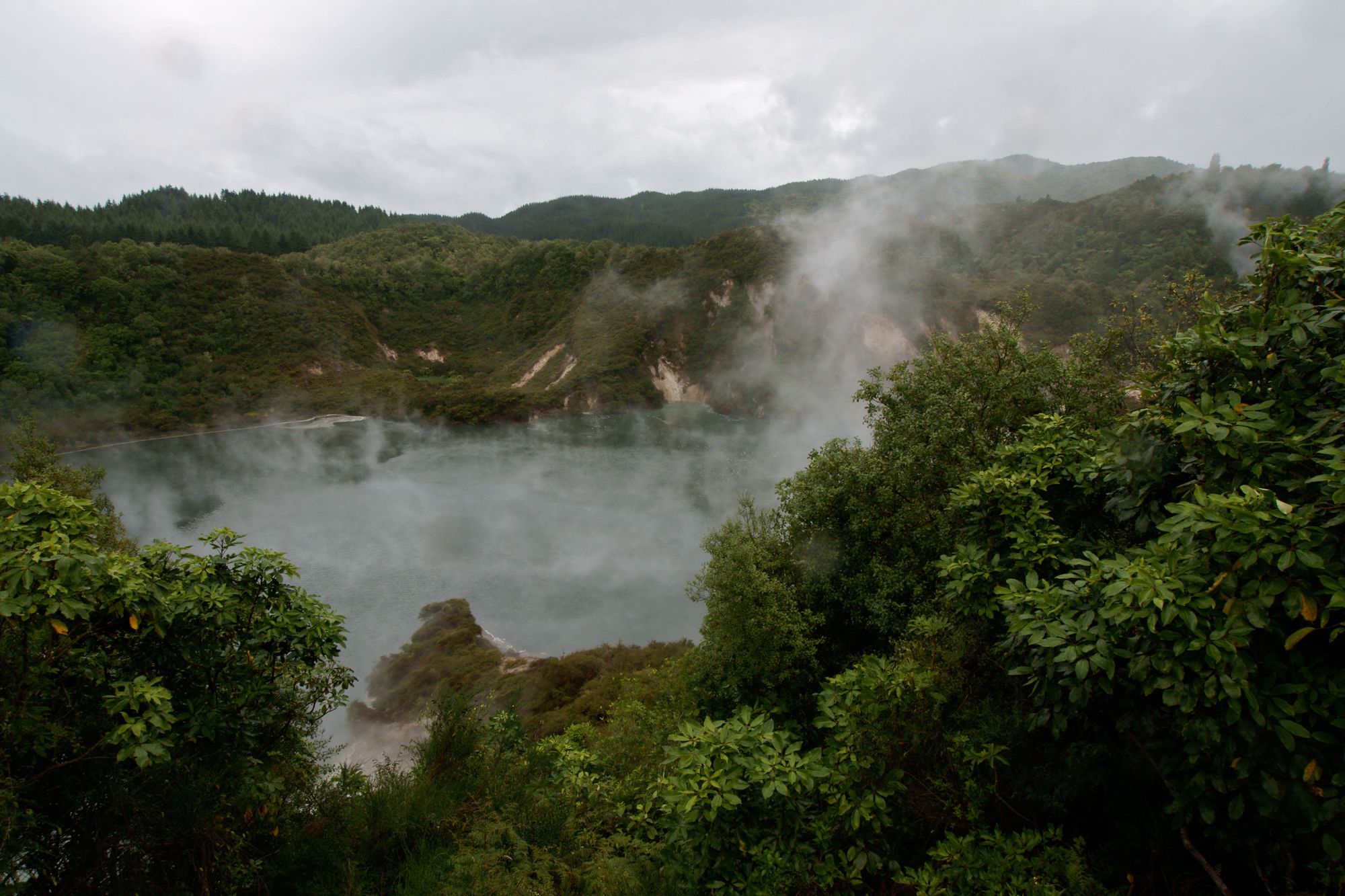 Waimangu Volcanic Valley  1