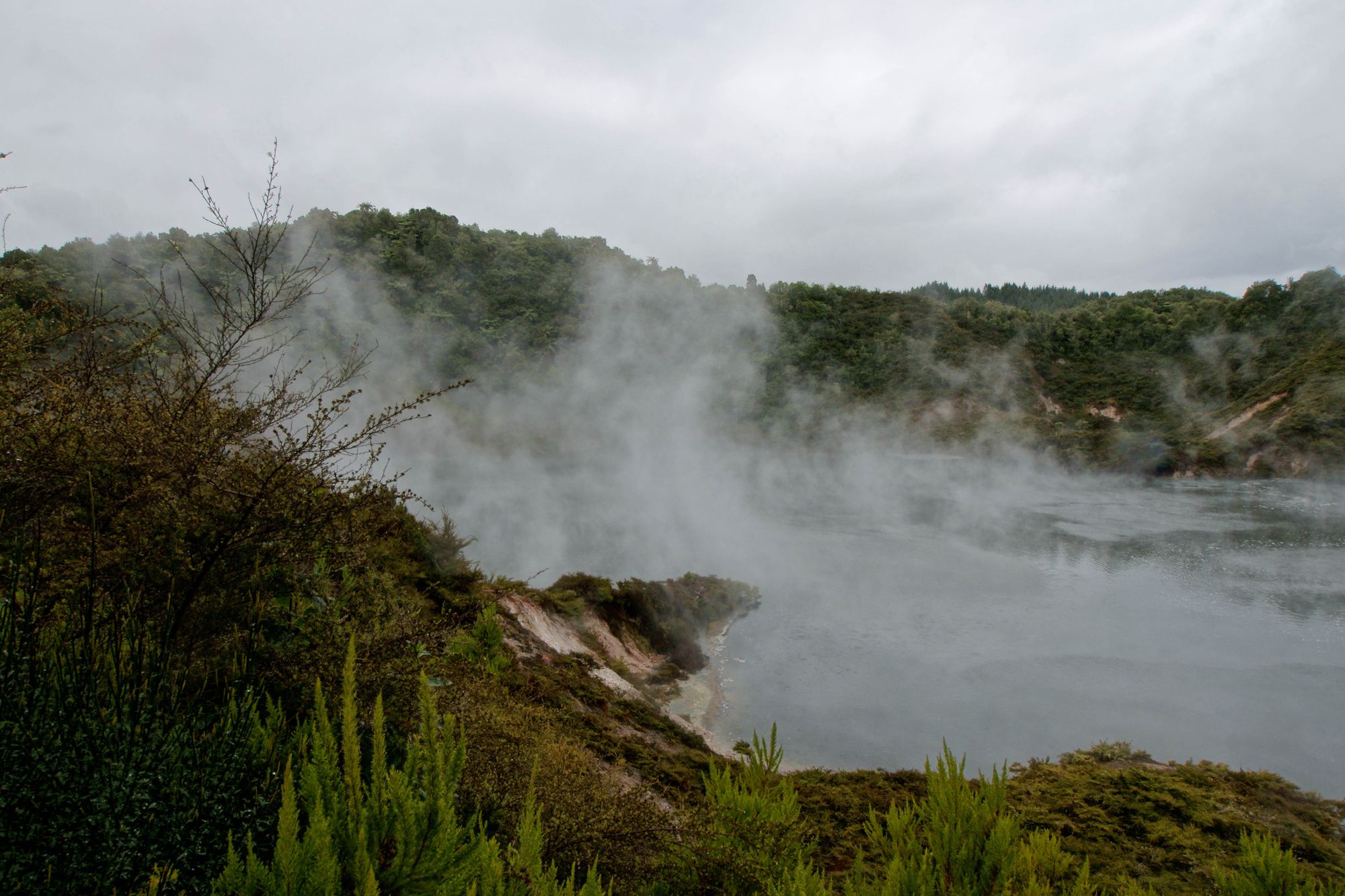 Waimangu Volcanic Valley  2