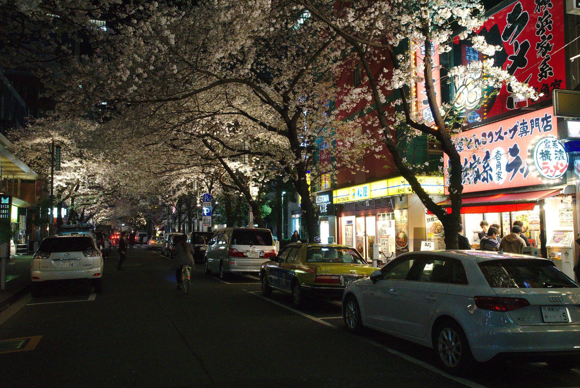 Yaesu Dori - Sakura Avenue