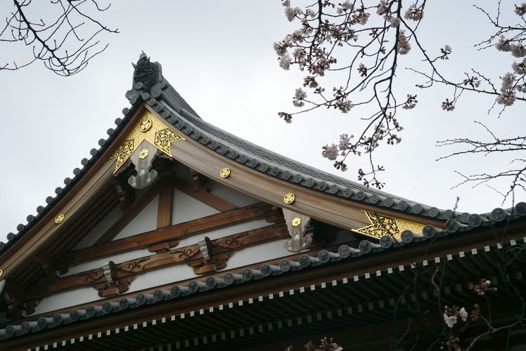 Zojoji Temple - Shiba Park