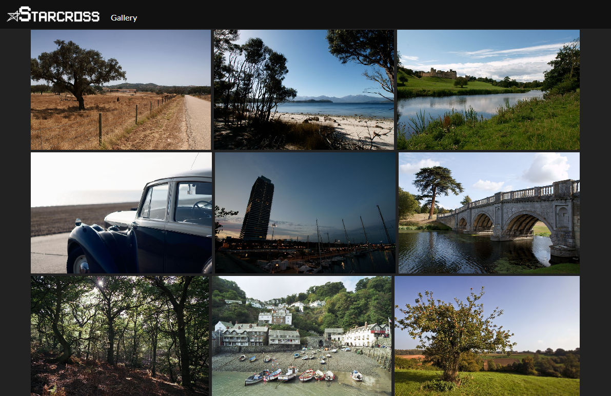 Screenshot of the Starcross Gallery album page